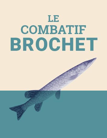 Le combatif brochet