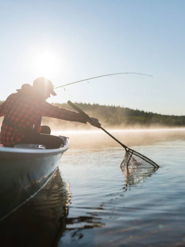 Un pêcheur sort un poisson de l'eau à l'aide de son filet.