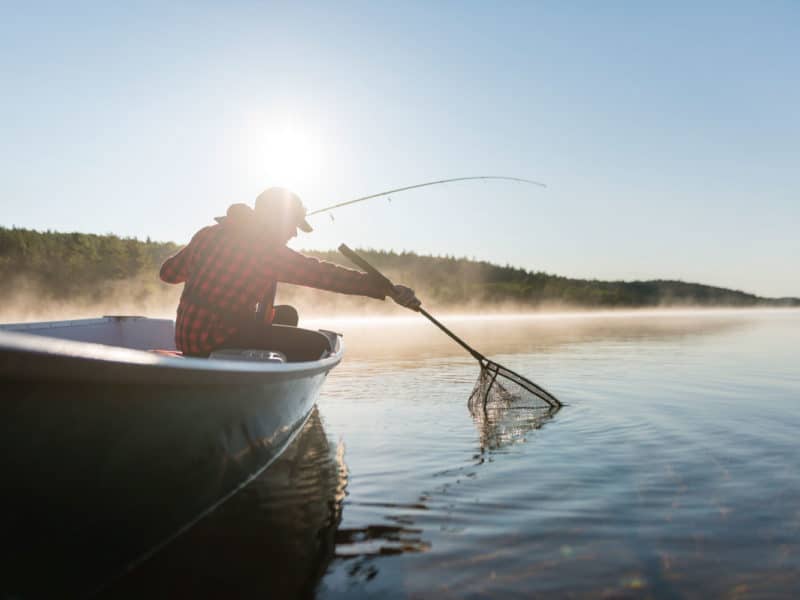 Essential fishing accessories  Fishing is simple, it's not that complicated