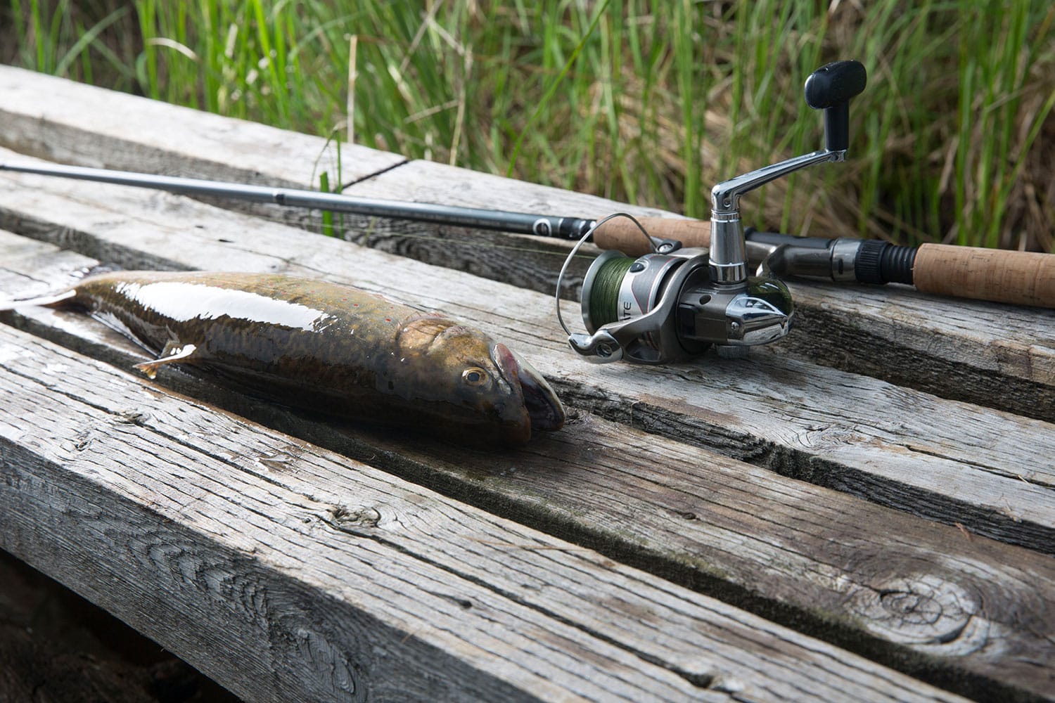 Choosing your fishing rod and reel  Fishing is simple, it's not that  complicated