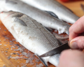 Gros plan sur des poissons qui s'apprêtent à être vidés et apprêtés.