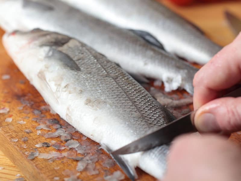 Gros plan sur des poissons qui s'apprêtent à être vidés et apprêtés.