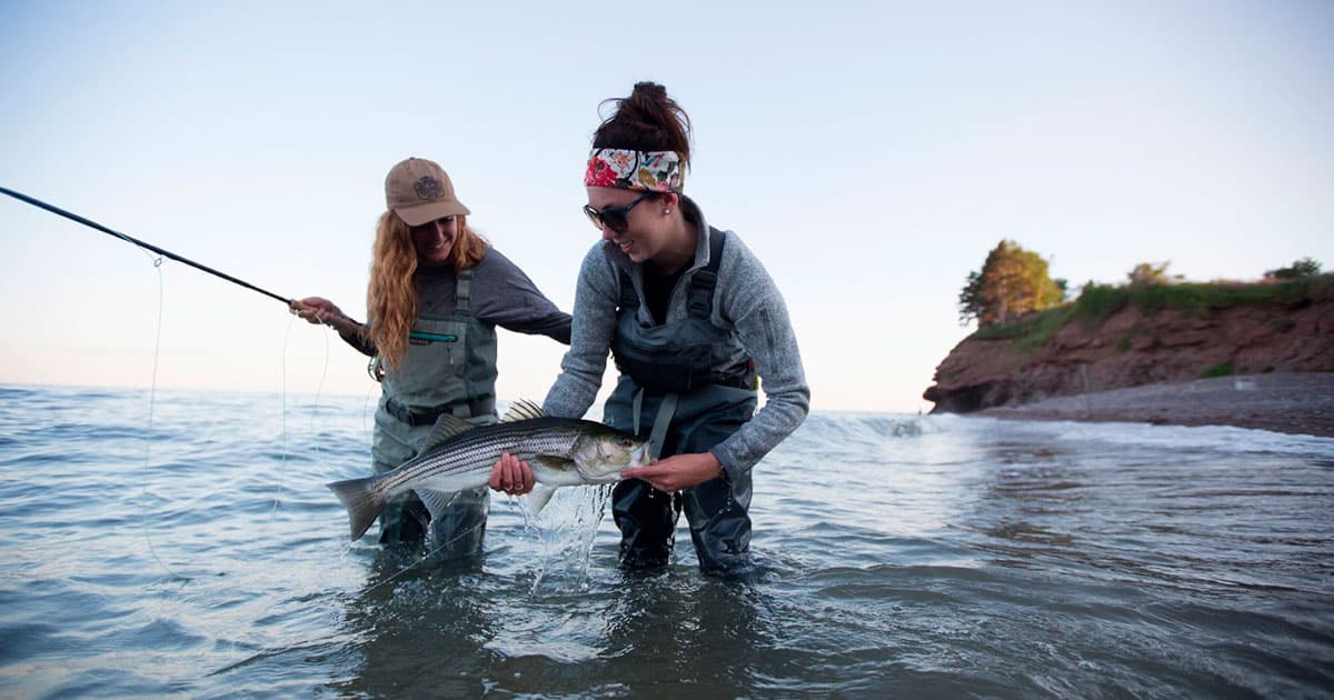 La pêche à la mouche  Pêcher, c'est pas compliqué