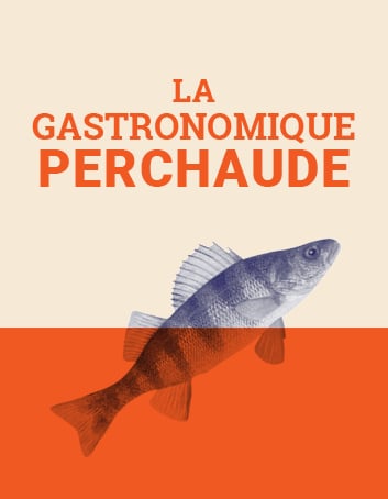 La gastronomique perchaude