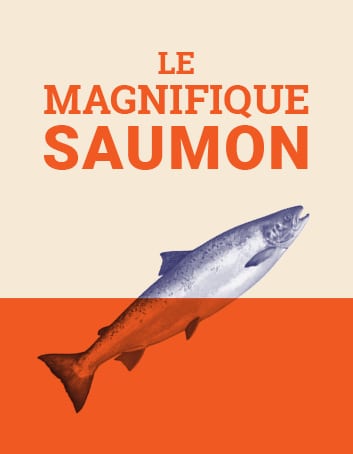 Le magnifique saumon