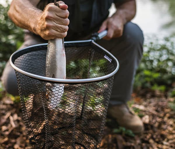 Un pêcheur sort un poisson fraîchement pêché d'une épuisette.