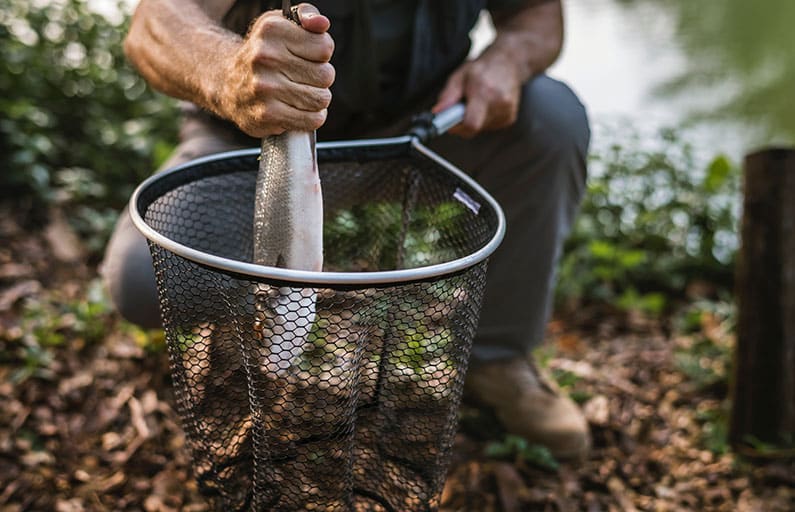 Un pêcheur sort un poisson fraîchement pêché d'une épuisette.